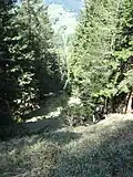 Nordlift: Trasse