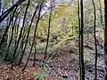 Schöppenberger Bach und Berg