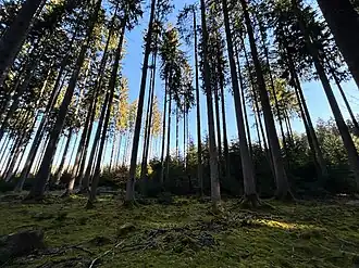 am Schafsberg