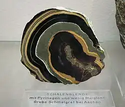 Typische Sekretion der Schalenblende