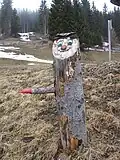 Wegweiser im Klangwald