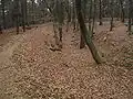 Der Ringwall auf dem Gipfel (Südostseite)