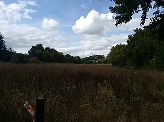 Feld auf dem Scharenberg im Hintergrund der Langenberg