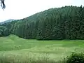 Berg der abgegangenen Schauenburg, Stammburg der Ludowinger