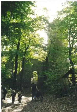 Burgruine Schauenforst