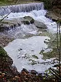 Verschmutzung im Tobel