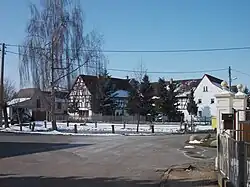 Scheidens