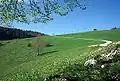 Strasse zum Matzendörfer Stierenberg