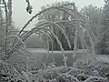 Der von der renaturierten Scherzach durchflossene Dorfweiher in Grünkraut mit kleiner Insel