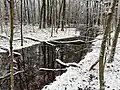 Der Scheuerbach zwischen den Teichen. Im Senkelgraben steht generell viel Wasser.