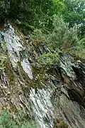 Schiefer am Meuchelberg
