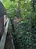 Der Schillingsbek Nebengraben am Spritzenweg