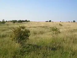 Schlachtfeld