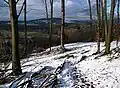 LSG Brasberg/Höstreichberg/Nockenbach/Elbsche/Teimbecke/Lindenbecke/Stollenbach/Schlehbuscher Berg