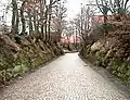 Straße in Buntsandstein-Nebental bei Schleifreisen (1999)