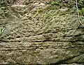 Sandsteinschichtung bei Schleifreisen (1999)