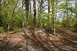 Dolmen von Wittenborn