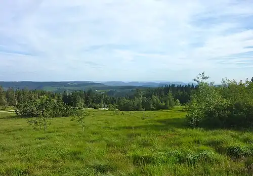 Aussicht vom Schliffkopf nach Süden