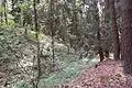 Schlossbühel Schwarzgrub