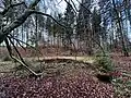 Naturdenkmal „Waldweiher“ am Schloßberg