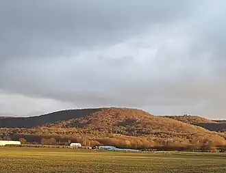 Blick auf den Rehhügel