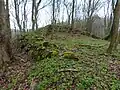 Ehemaliger Burgwall (Ostansicht).