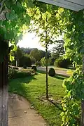 Laubengang im Schloss Charlottenhof