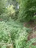 Schloss Ramingdorf: Ehemaliger Wassergraben