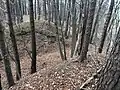 Blick in den Halsgraben nach Westen