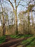 Parkweg