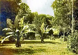 Schlosspark Berhometh 5
