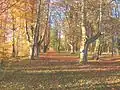 Der Schlosspark Scheer mit seinem uralten Baumbestand