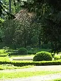 Eibenhain mit Blick auf das Becken