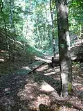 Schluchtweg zum Naturdenkmal