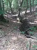 Zufluss über Weg