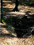 Früherer, ungesicherter Eingang der Schmauselhöhle
