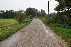 Fischgrätenmuster