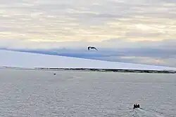 Schmidt-Insel