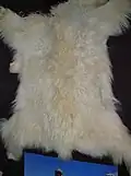 Schneeziegenfell
