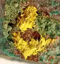 Schoepit-Pseudomorphose nach Rutherfordin aus der Musonoi Mine, Katanga, Demokratische Republik Kongo (Gesamtgröße: 3,5&nbsp;cm × 3,1&nbsp;cm × 2,5 cm)