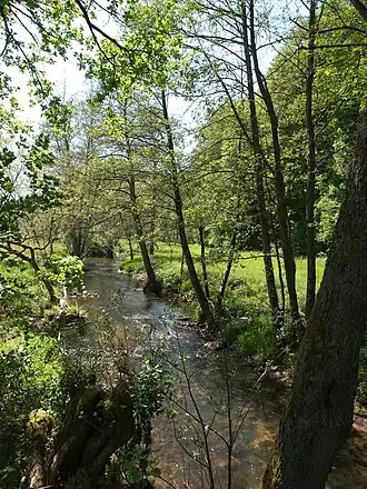 Die Schondra, ein die Südrhön durchfließender Fluss