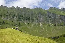 „Teufelskralle“