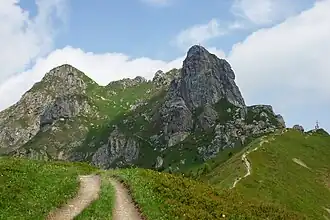 Arlspitze von Süden; links hinten der Hauptgipfel (2215&nbsp;m&nbsp;ü.&nbsp;A.), rechts der von Großarl sichtbare Vorgipfel (ca. 2185&nbsp;m&nbsp;ü.&nbsp;A.)