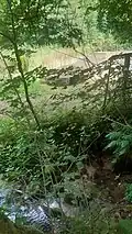 Der Schuhlochbach oberhalb der Brücke über die K&nbsp;3601, im Hintergrund einer der Fischweiher.