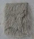 Spanisch Merino
