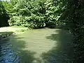 Schwabinger Bach in der Hirschau