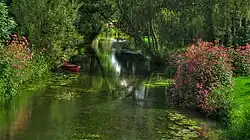 Schwalm bei Zella