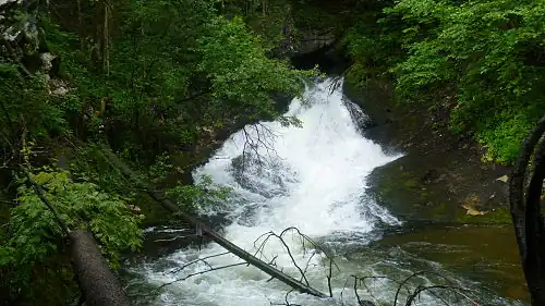 Karstquelle Schwarzbachloch