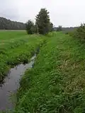 Immer noch begradigt