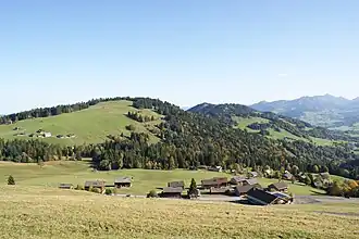 Geißkopf vom Bödele aus